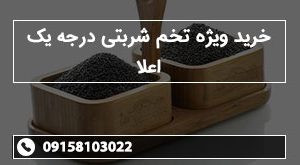 خرید ویژه تخم شربتی درجه یک اعلا