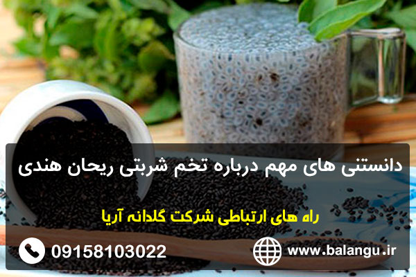 دانستنی های مهم درباره تخم شربتی ریحان هندی