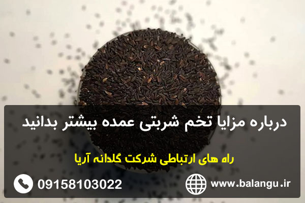 درباره مزایا تخم شربتی عمده بیشتر بدانید