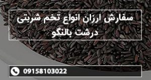 سفارش ارزان انواع تخم شربتی درشت بالنگو