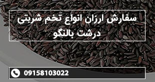 سفارش ارزان انواع تخم شربتی درشت بالنگو