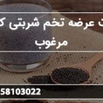 شرکت عرضه تخم شربتی کیلویی مرغوب