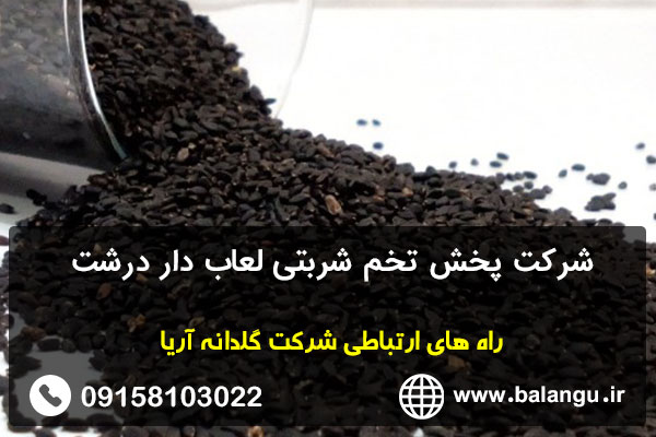 شرکت پخش تخم شربتی لعاب دار درشت