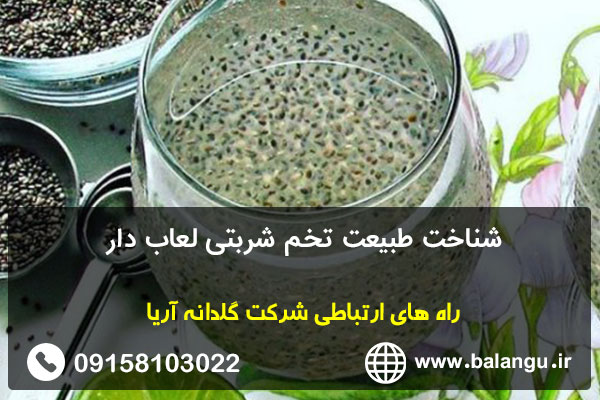 شناخت طبیعت تخم شربتی لعاب دار