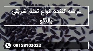 عرضه کننده انواع تخم شربتی بالنگو