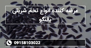 عرضه کننده انواع تخم شربتی بالنگو
