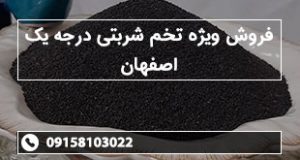 فروش ویژه تخم شربتی درجه یک اصفهان