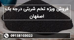 فروش ویژه تخم شربتی درجه یک اصفهان