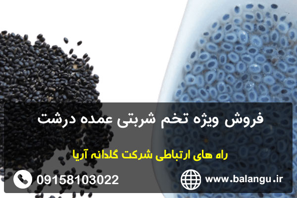 فروش ویژه تخم شربتی عمده درشت