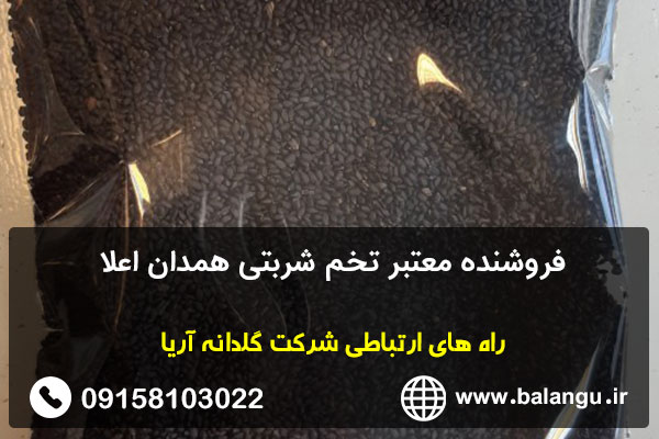 فروشنده معتبر تخم شربتی همدان اعلا