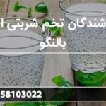 فروشندگان تخم شربتی اصل بالنگو