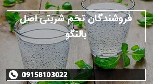 فروشندگان تخم شربتی اصل بالنگو