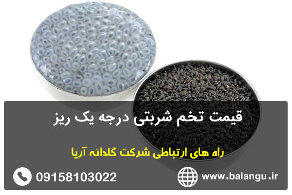 قیمت تخم شربتی درجه یک ریز