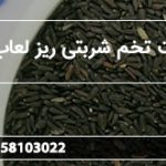 قیمت تخم شربتی ریز لعاب دار