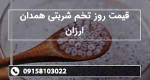 قیمت روز تخم شربتی همدان ارزان