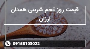 قیمت روز تخم شربتی همدان ارزان