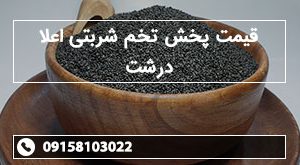 قیمت پخش تخم شربتی اعلا درشت