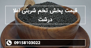 قیمت پخش تخم شربتی اعلا درشت