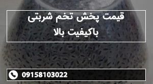 قیمت پخش تخم شربتی باکیفیت بالا