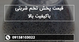 قیمت پخش تخم شربتی باکیفیت بالا