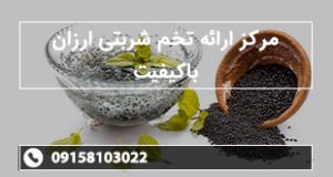 مرکز ارائه تخم شربتی ارزان باکیفیت