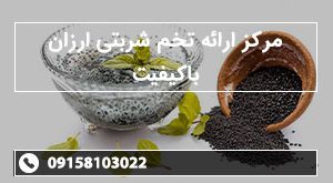 مرکز ارائه تخم شربتی ارزان باکیفیت