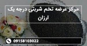 مرکز عرضه تخم شربتی درجه یک ارزان