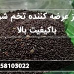 مرکز عرضه کننده تخم شربتی باکیفیت بالا