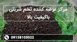 مرکز عرضه کننده تخم شربتی باکیفیت بالا