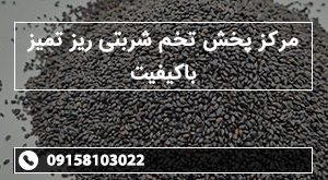 مرکز پخش تخم شربتی ریز تمیز باکیفیت