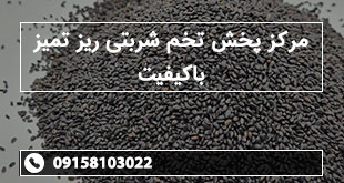 مرکز پخش تخم شربتی ریز تمیز باکیفیت