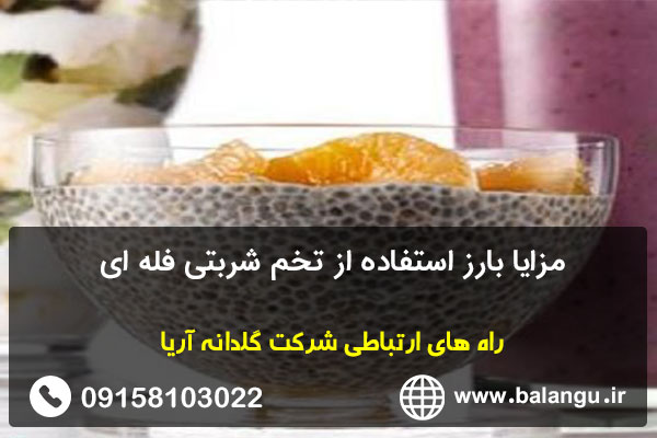 مزایا بارز استفاده از تخم شربتی فله ای