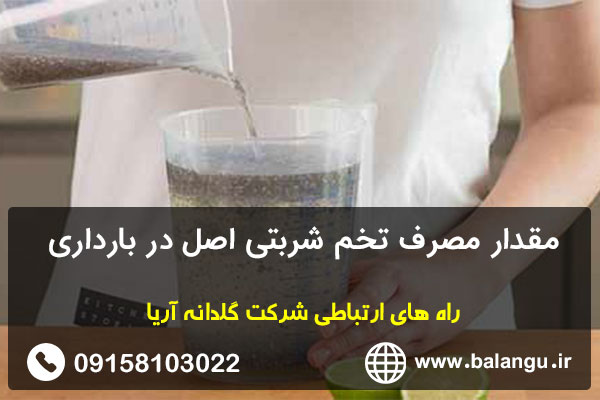 مقدار مصرف تخم شربتی اصل در بارداری