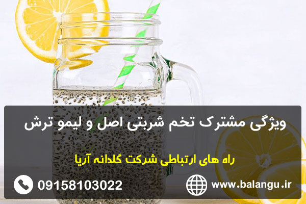 ویژگی مشترک تخم شربتی اصل و لیمو ترش