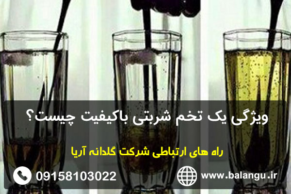 ویژگی یک تخم شربتی باکیفیت چیست؟