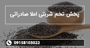 پخش تخم شربتی اعلا صادراتی