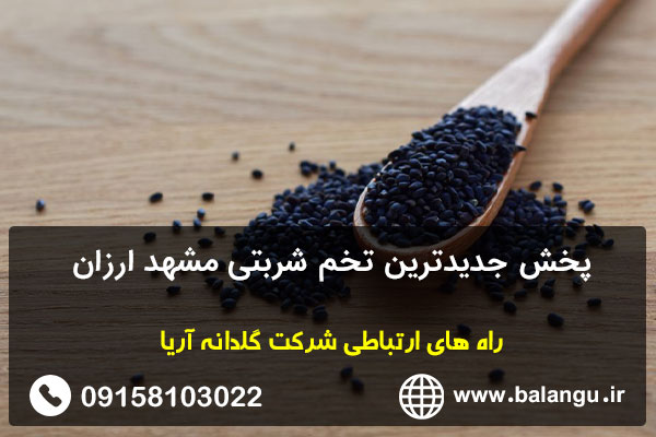 پخش جدیدترین تخم شربتی مشهد ارزان