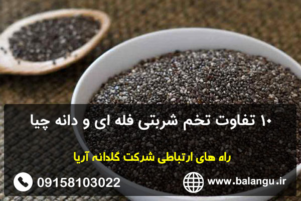 10تفاوت تخم شربتی فله ای و دانه چیا