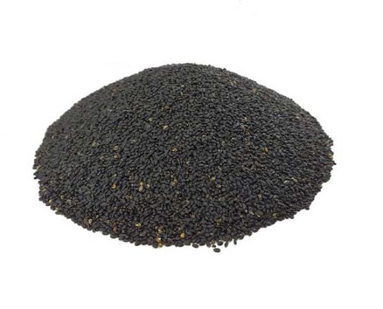 شرکت عرضه تخم ریحان سبز