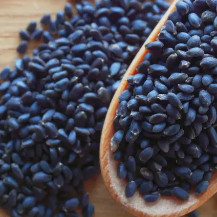 محل فروش تخم ریحان 25 کیلویی