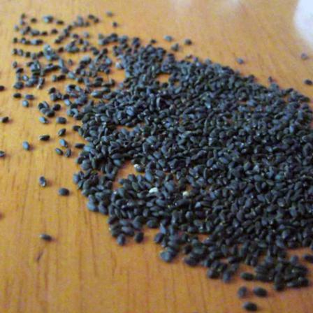 فروش عمده تخم ریحان سبز اصل