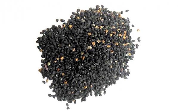 شرکت پخش تخم ریحان اعلا