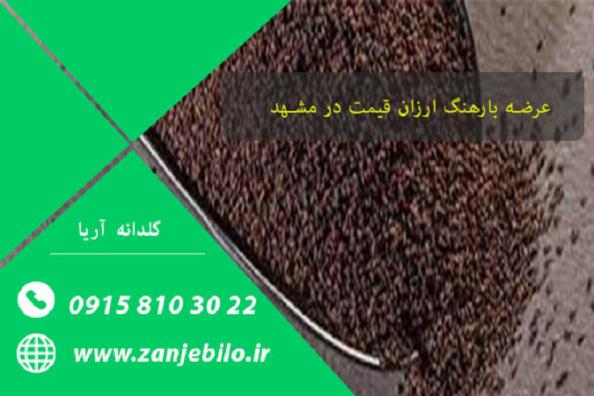 کاربرد تخم بارهنگ برای درمان مشکلات گوارشی