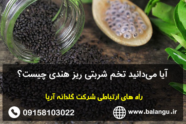 آیا می‌دانید تخم شربتی ریز هندی چیست؟