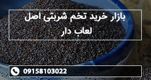 بازار خرید تخم شربتی اصل لعاب دار