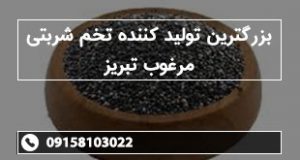 بزرگترین تولید کننده تخم شربتی مرغوب تبریز