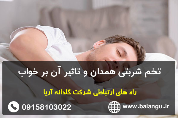 تخم شربتی همدان و تاثیر آن بر خواب