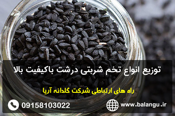 توزیع انواع تخم شربتی درشت باکیفیت بالا