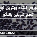 توزیع کننده بهترین نوع تخم شربتی بالنگو