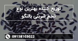 توزیع کننده بهترین نوع تخم شربتی بالنگو